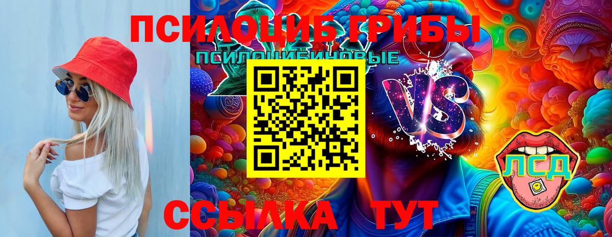 Псилоцибиновые грибы MAGIC MUSHROOMS  Вход с VPN  Сергиев Посад 