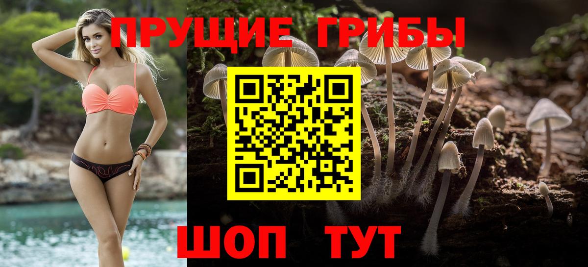 Галлюциногенные грибы GOLDEN TEACHER Сергиев Посад